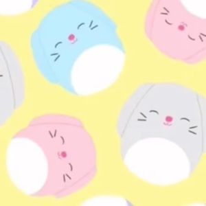 Meet your Posher, Lia